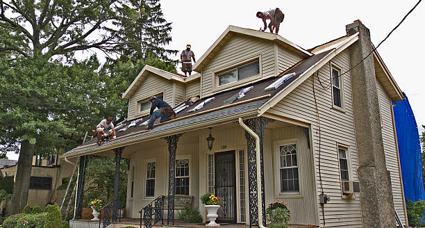 Best Metal Roofing Contractor  in Fennimore, WI