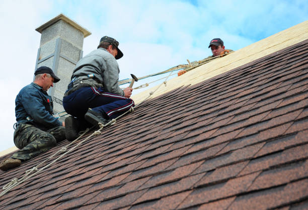 Best Shingle Roofing Installation  in Fennimore, WI